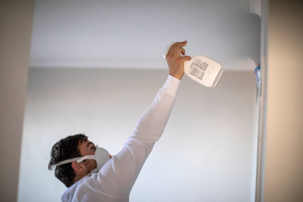 Best Water Damage Restoration  in Butner, NC