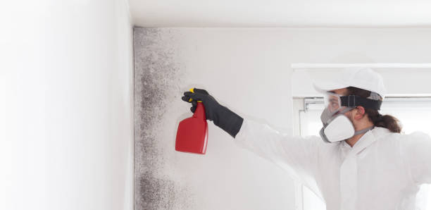 Certified Mold Removal in Butner, NC